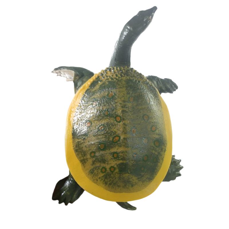 Turtle Toy Figure